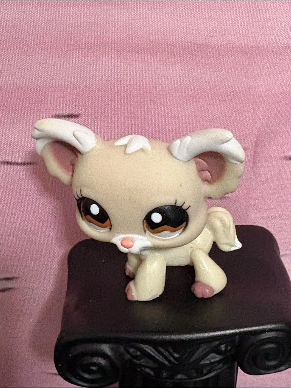 Littlest Pet Shop adorable cream